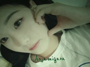 Anjamignon