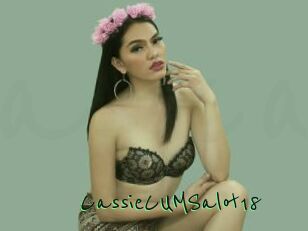 CassieCUMSalot18