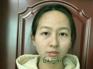 Gaijidi