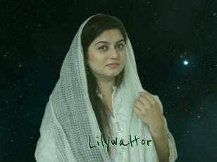Lilywaltor
