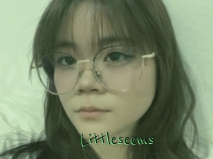 Littleseems