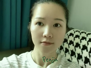 Penjin