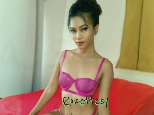 Rozettesy