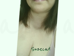 Suzecat