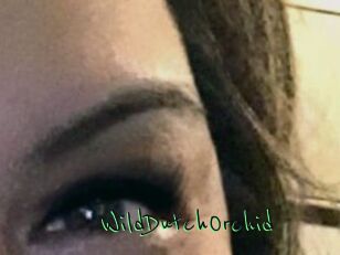 WildDutchOrchid