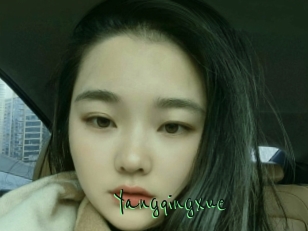 Yangqingxue